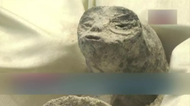 Screenshot_4.png Screenshot_4.png