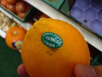 Valenciaorange.jpg Valenciaorange.jpg