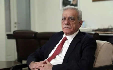 Türk: Çözüm süreci, sadece Kürt meselesi değil, Ortadoğu’nun demokratikleşme projesidir