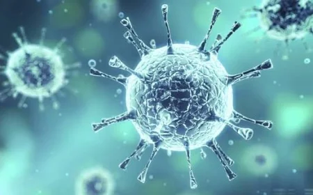 Yeni Virüs Alarmı! DSÖ'den Acil Uyarı: 'H3N2' Dünyada Rekor Hızla Yayılıyor