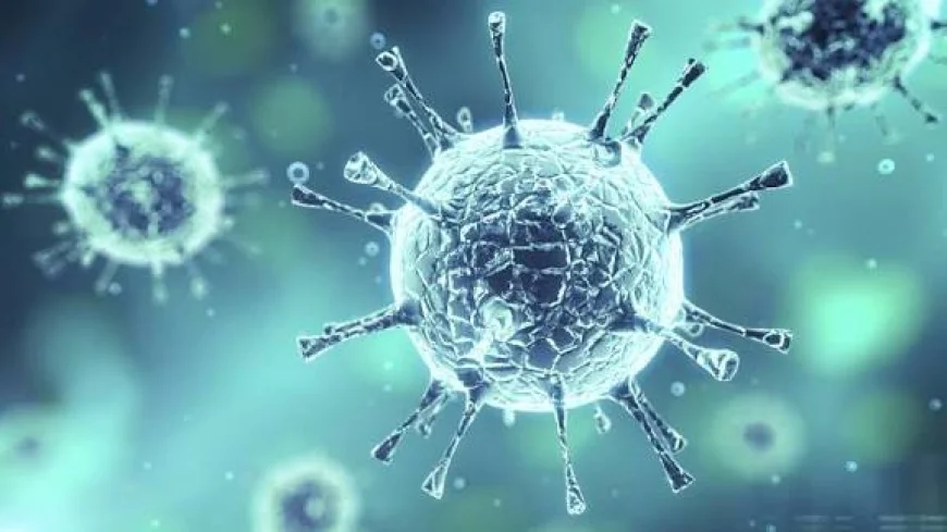 Yeni Virüs Alarmı! DSÖ'den Acil Uyarı: 'H3N2' Dünyada Rekor Hızla Yayılıyor