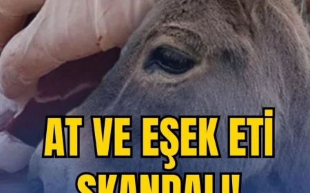 Vatandaşa at ve eşek eti yediren markalar! Aralarında büyükşehir belediyesi de var