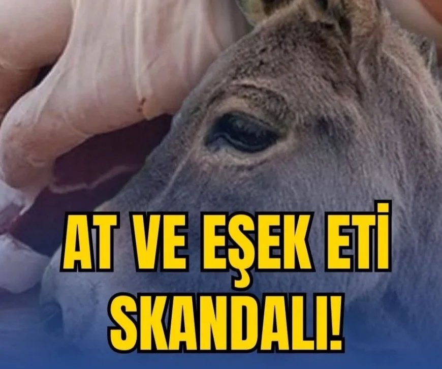 Vatandaşa at ve eşek eti yediren markalar! Aralarında büyükşehir belediyesi de var
